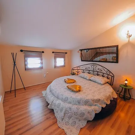 Sen 2 فيلة سبانجا