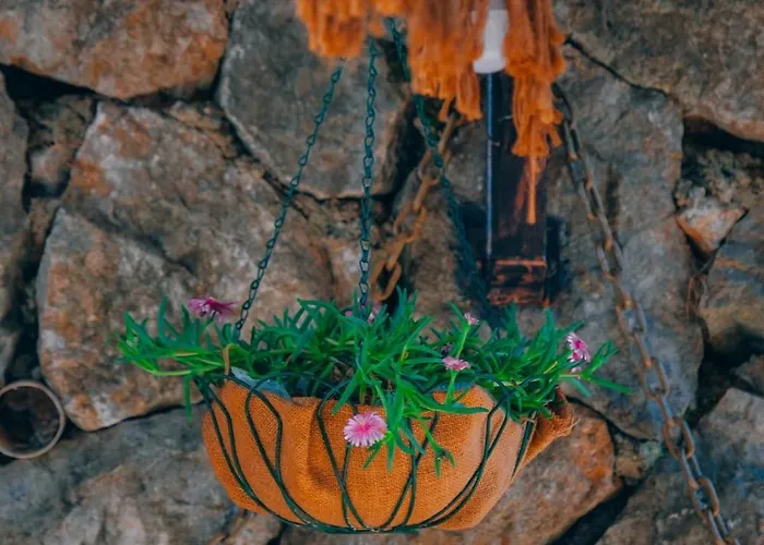 Sen 2 サパンジャ